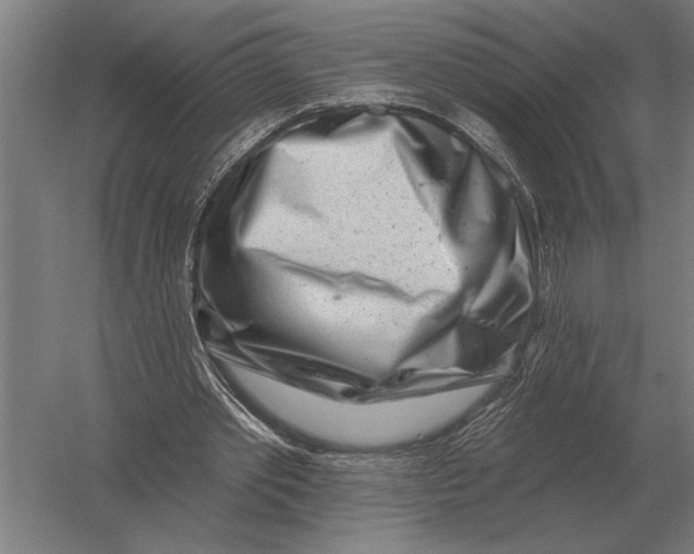 X0000054360389200508191825