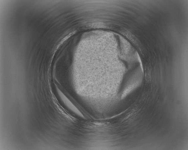 X0000054360390200508191825