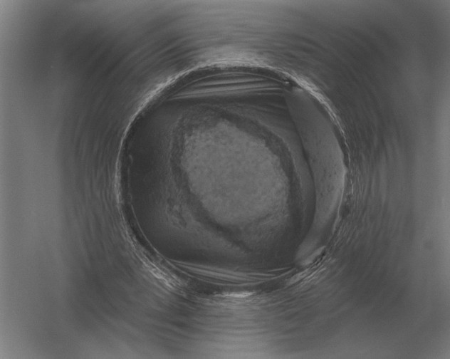 X0000054360391200508191825