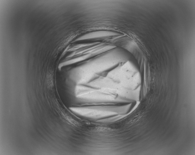 X0000054360393200508191825