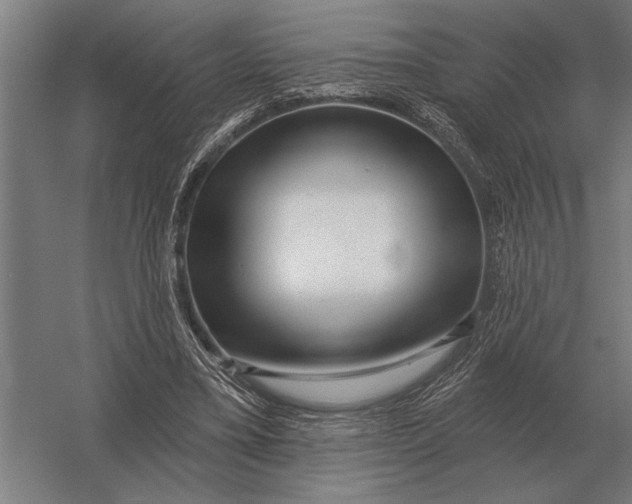 X0000054360395200508191825