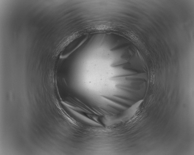 X0000054360397200508191825