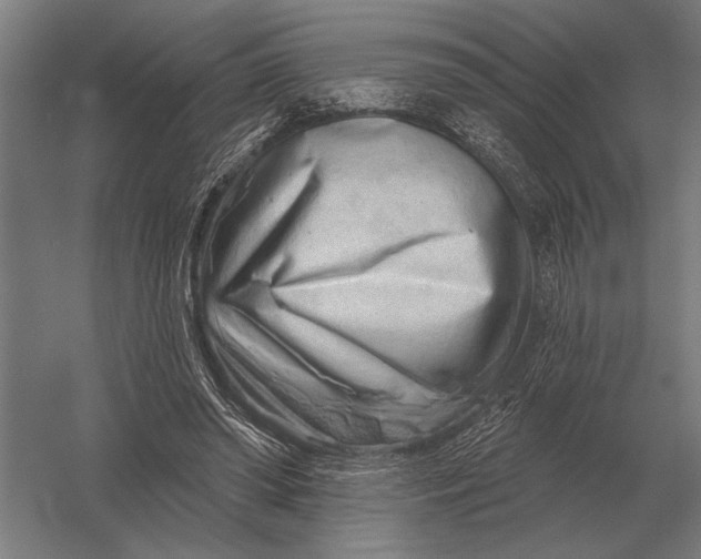 X0000054360398200508191825