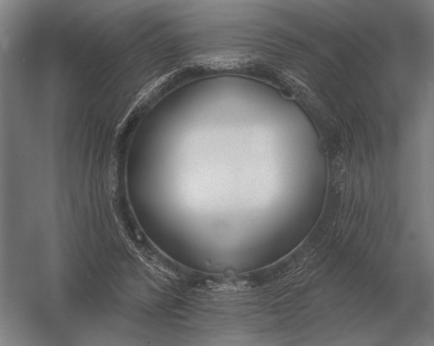 X0000054360400200508191825