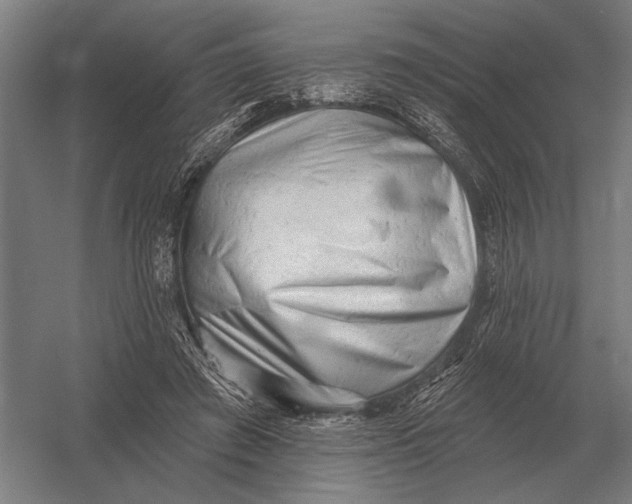 X0000054360401200508191825