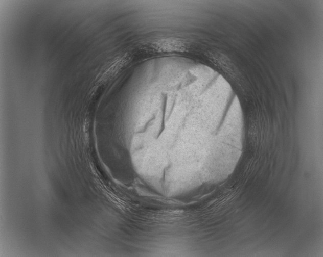 X0000054360402200508191825