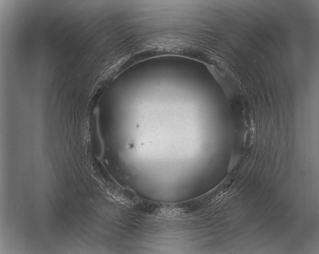 X0000054360403200508191825