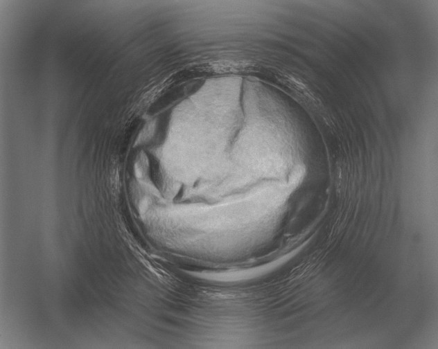 X0000054360405200508191825