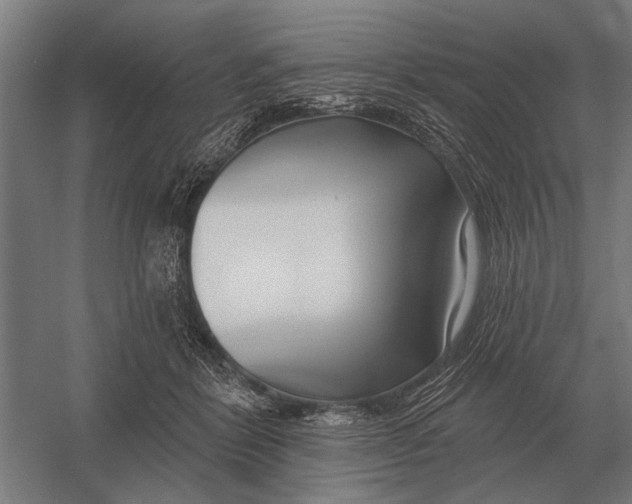 X0000054360412200508191825