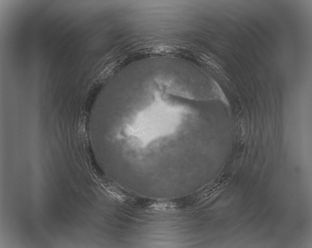 X0000054360415200508191825