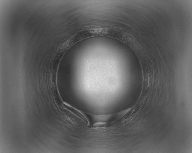 X0000054360416200508191825
