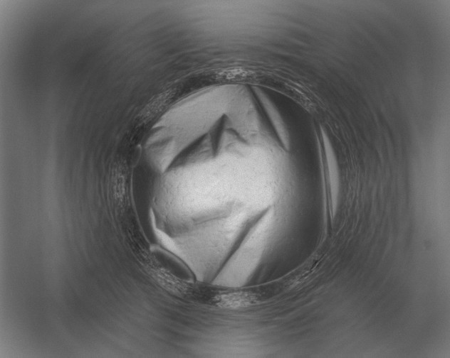 X0000054360417200508191825