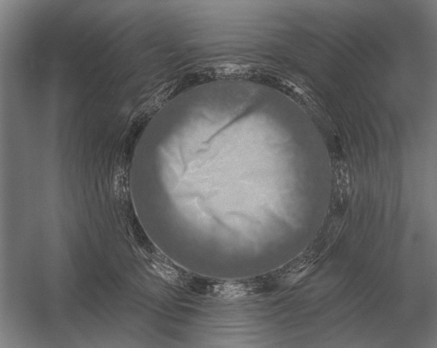 X0000054360419200508191824