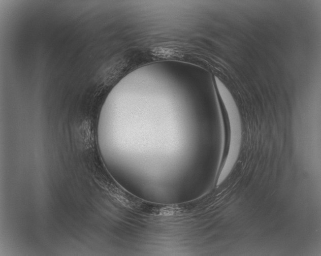 X0000054360420200508191824