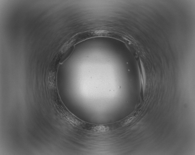X0000054360421200508191824