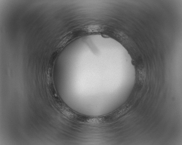 X0000054360422200508191824
