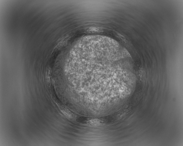 X0000054360423200508191824