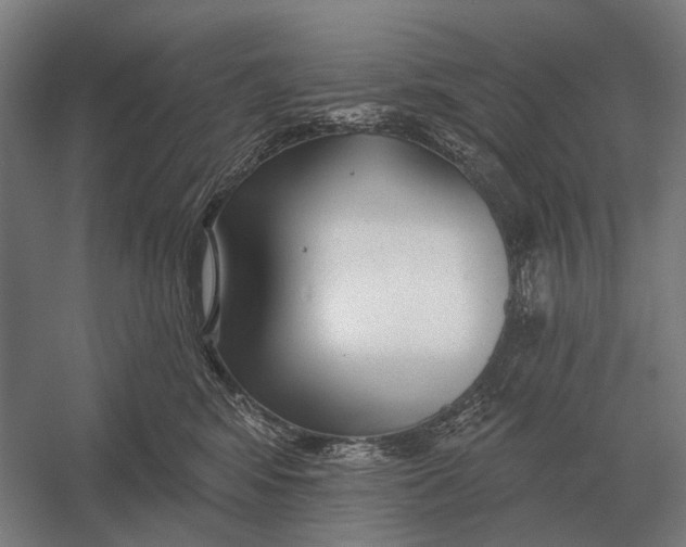 X0000054360424200508191824