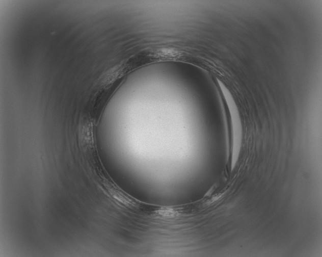 X0000054360425200508191824