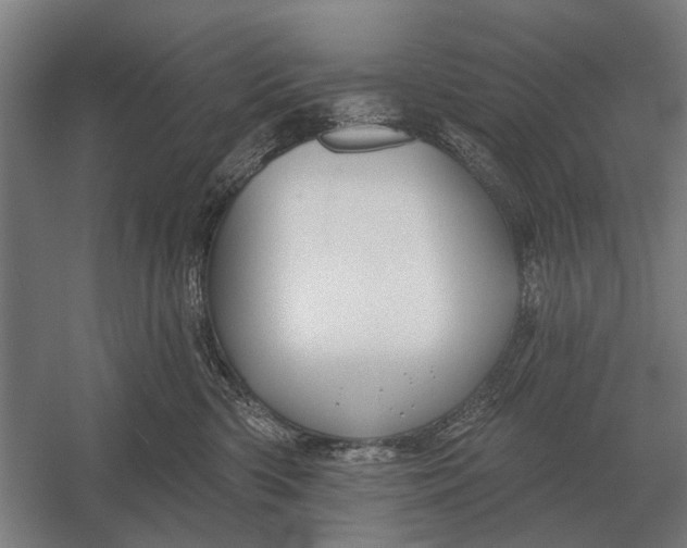 X0000054360426200508191824