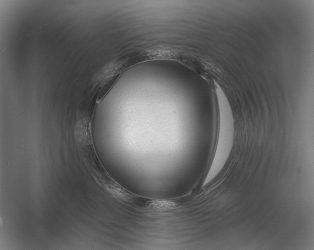 X0000054360429200508191824