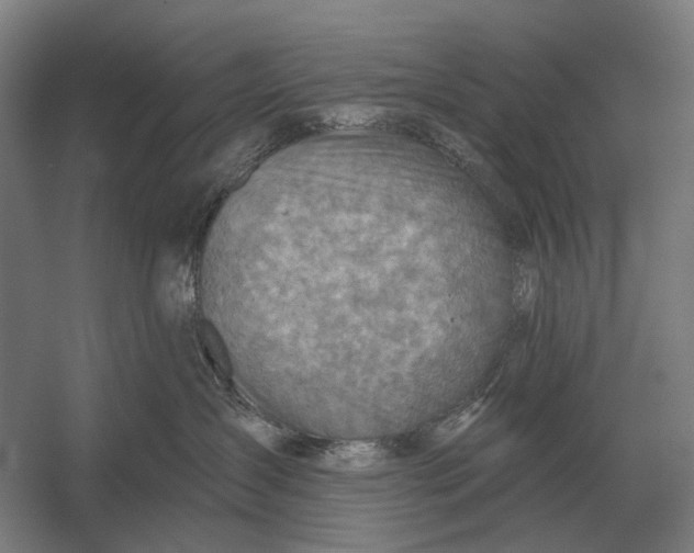 X0000054360431200508191824