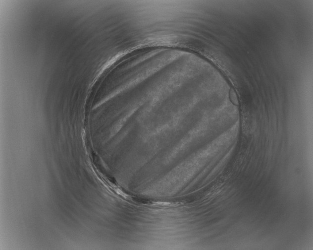 X0000054360434200508191823