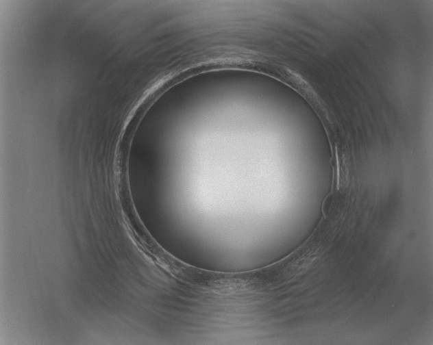 X0000054360435200508191823