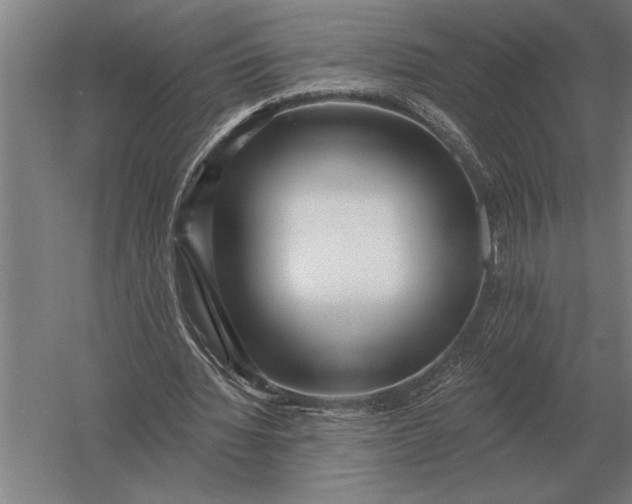 X0000054360436200508191823