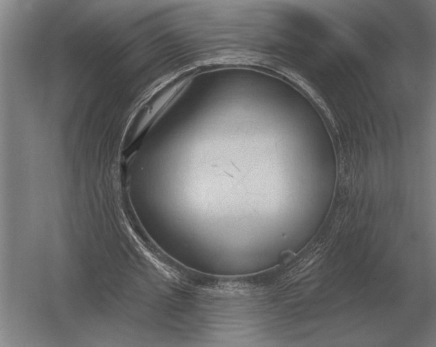 X0000054360437200508191824
