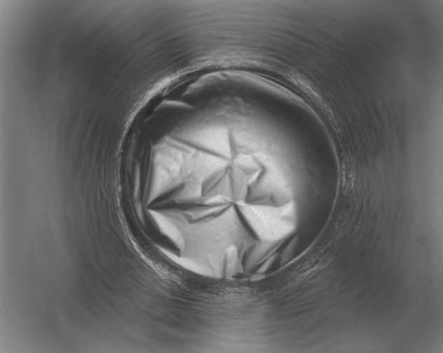 X0000054360438200508191824