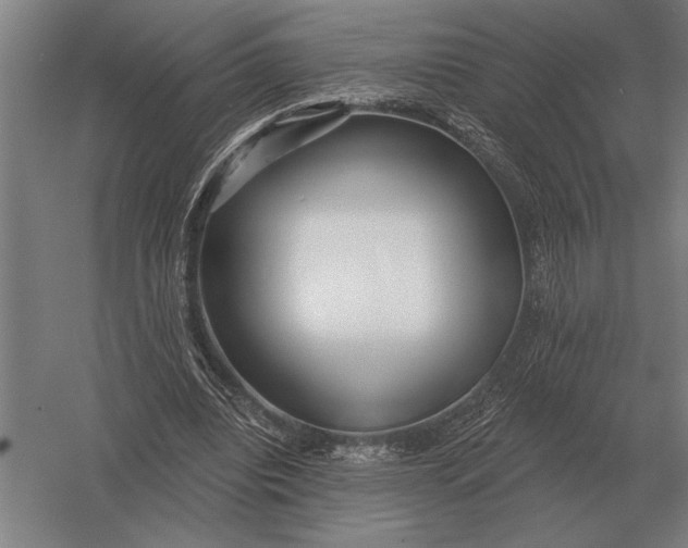 X0000054360440200508191824
