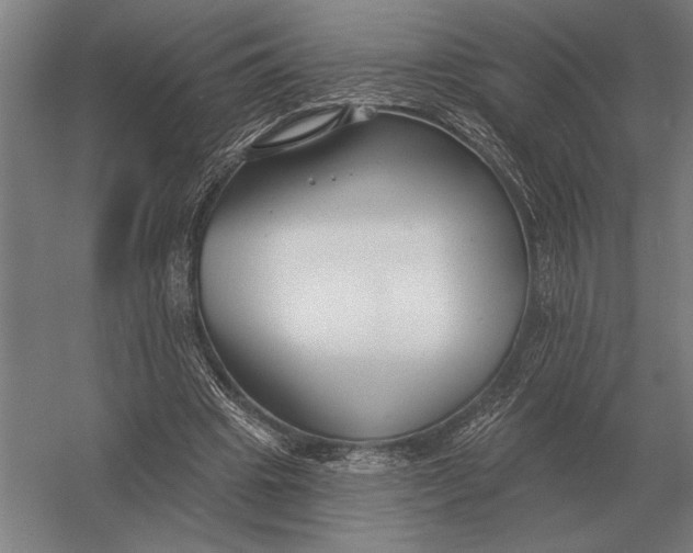 X0000054360441200508191824