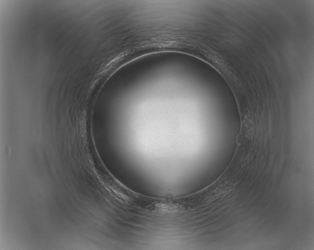 X0000054360442200508191824
