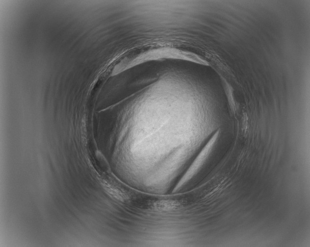 X0000054360444200508191824