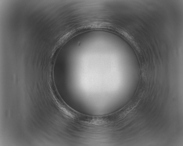 X0000054360445200508191824