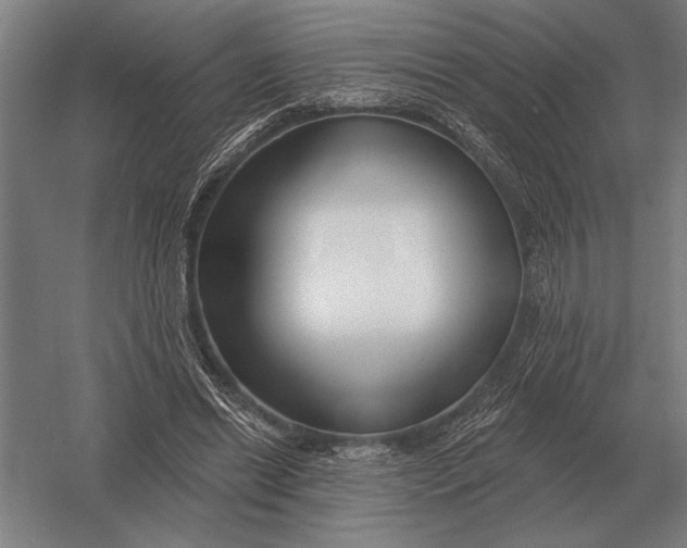 X0000054360446200508191824