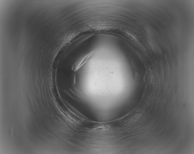 X0000054360447200508191824