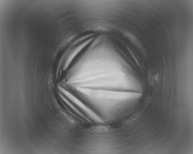 X0000054360449200508191824