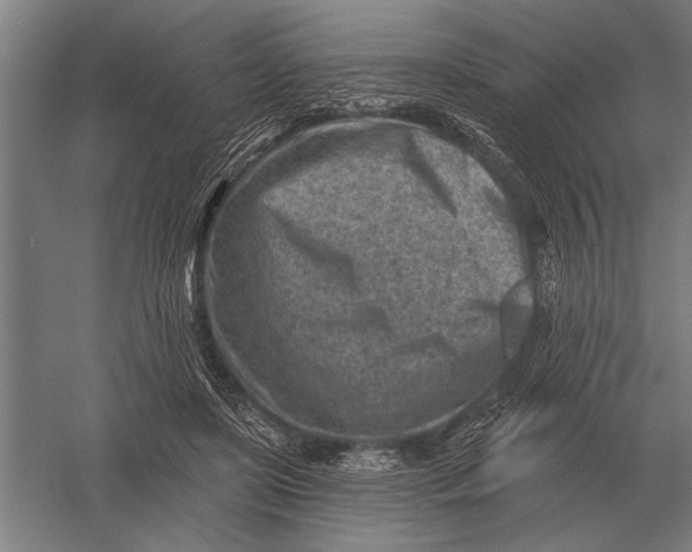 X0000054360451200508191824