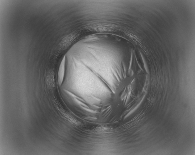 X0000054360453200508191824