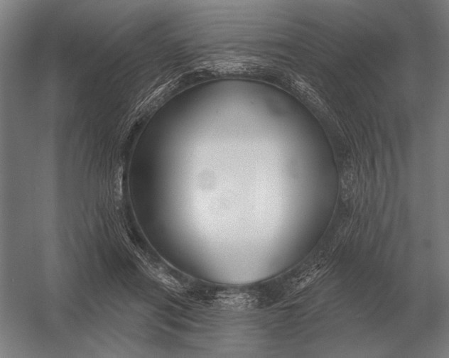 X0000054360454200508191824