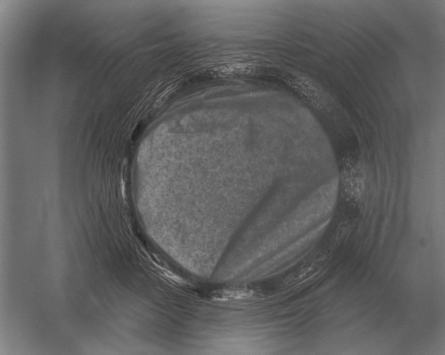 X0000054360458200508191824