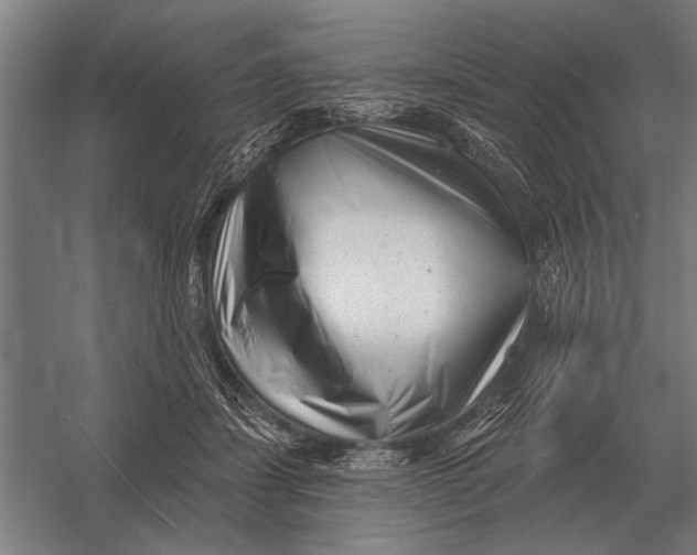 X0000054360459200508191824