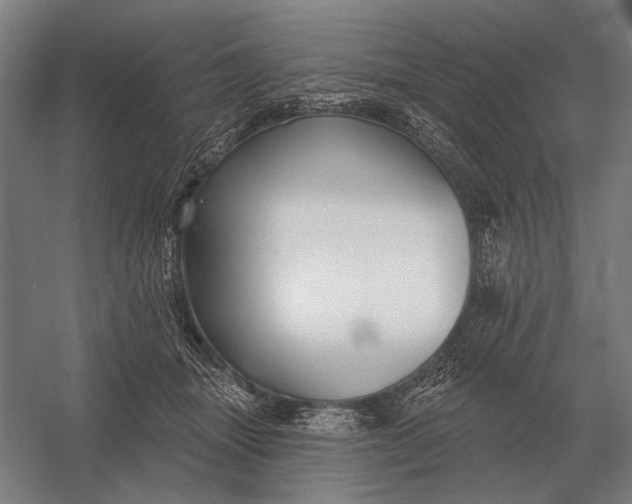 X0000054360463200508191824