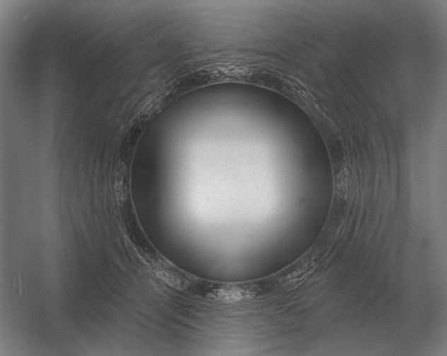 X0000054360464200508191824