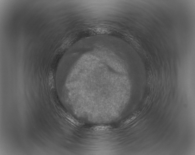 X0000054360465200508191824