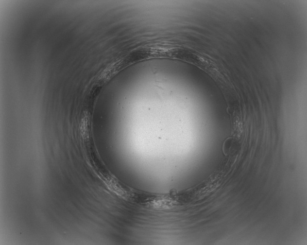 X0000054360468200508191824
