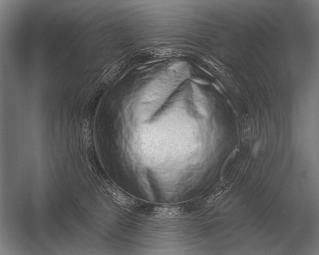 X0000054360469200508191824