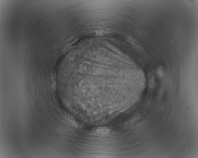 X0000054360471200508191824